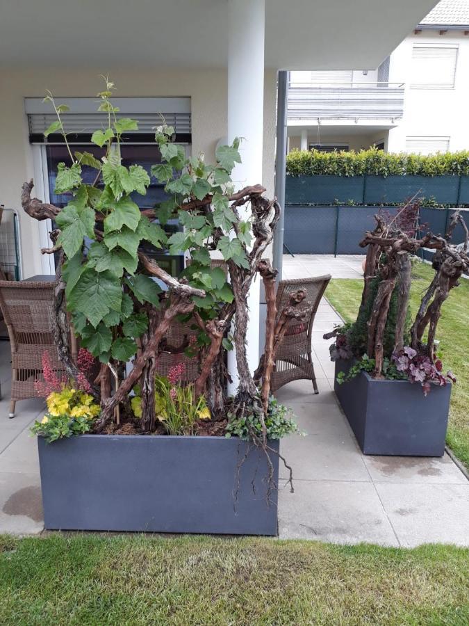 "Nature Erleben" Appartement & Komfortzimmer Velden am Wörthersee Zewnętrze zdjęcie